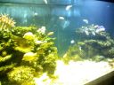 Filename=Lednice_0007.JPG
Filesize=96KiB
Dimensions=800x600
Date added=Apr 14, 2011 Lednice_0007.JPG