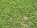 PDP_v_Agro_Chomutice_0002.JPG